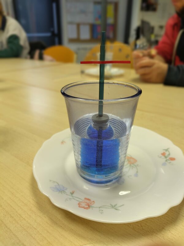 Art & Sciences – Image 6