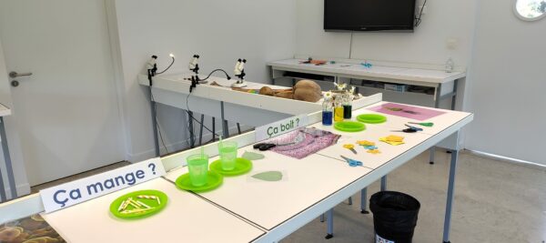 Art & Sciences – Image 4